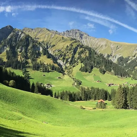 Apartment Ferienwohnung Gilbach Adelboden