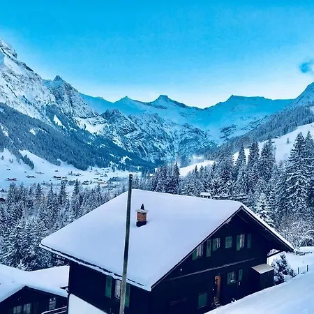 Apartment Ferienwohnung Gilbach Adelboden